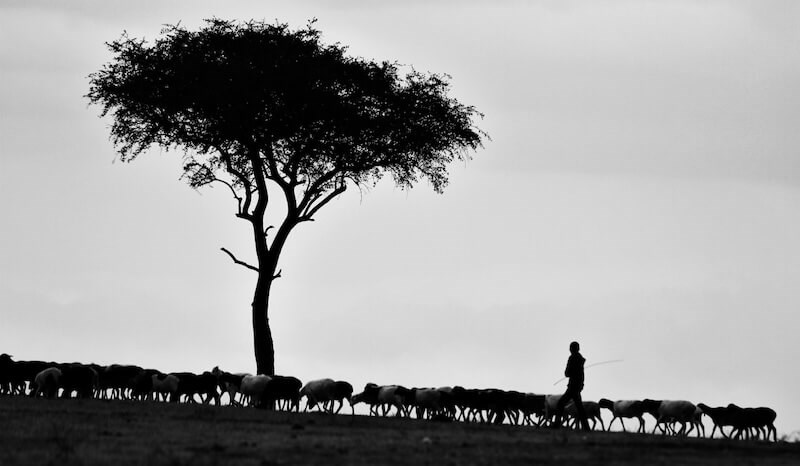 How God Leads Us